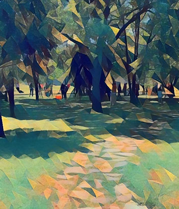 <span>Discover</span><br />
The Parks <br/>