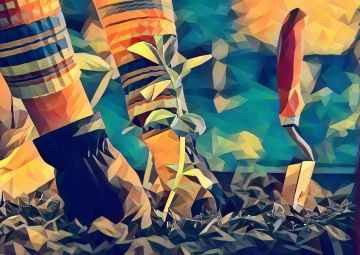Cosa bolle in pentola?! 