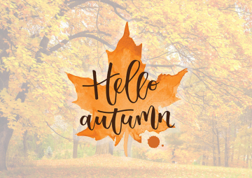 Autunno ad Albisola!
