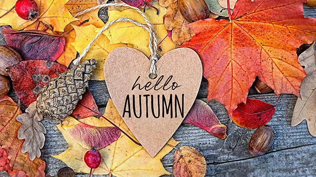 Benvenuto autunno!!