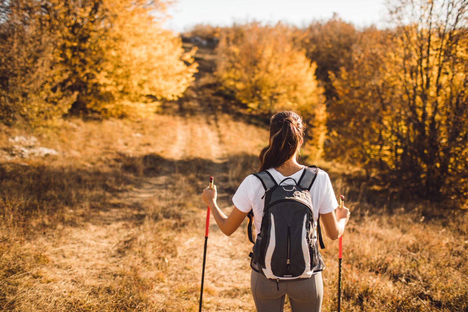Camminando: escursioni di primavera ad Albisola Superiore