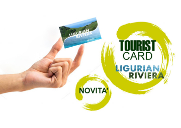  TOURIST CARD