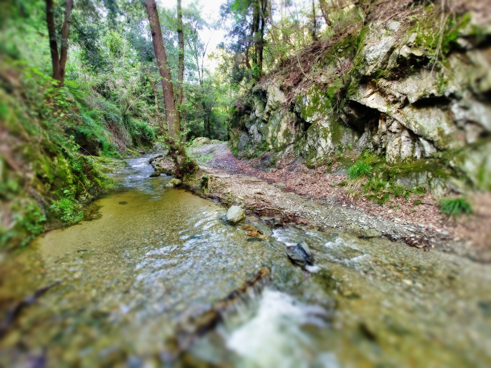 La voce dell’acqua  - Sabato 24 maggio