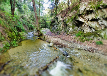 La voce dell’acqua  - Sabato 24 maggio