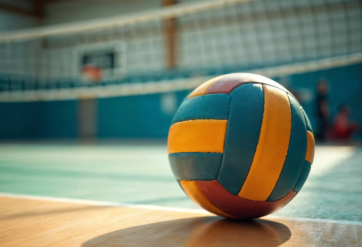 Pallavolo senza barriere