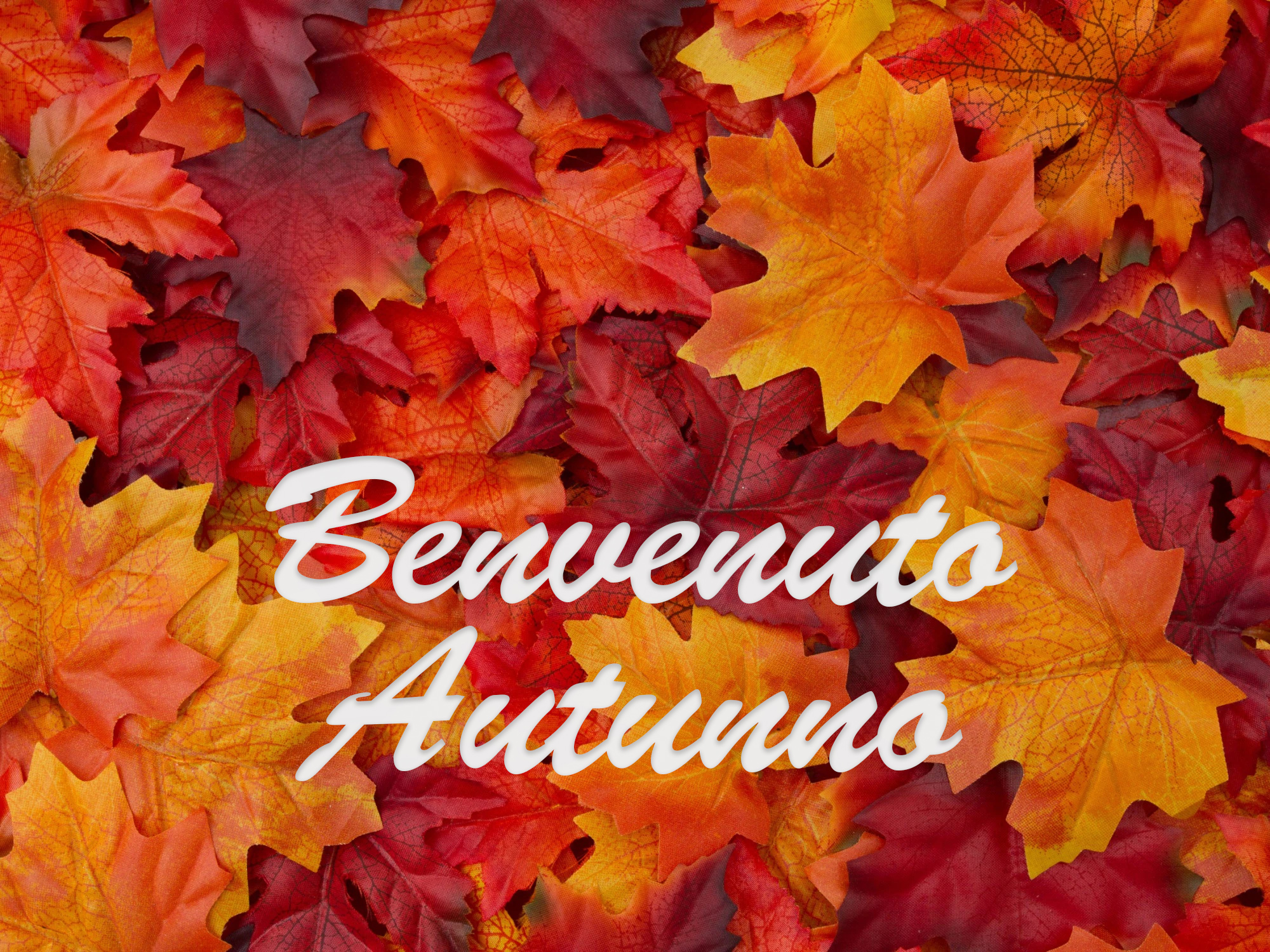 Autunno ad Albisola