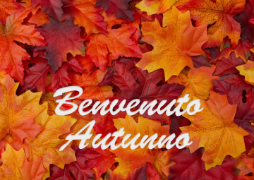 Autunno ad Albisola