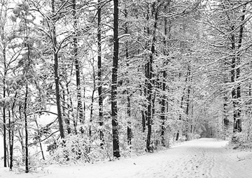 Camminare in inverno!
