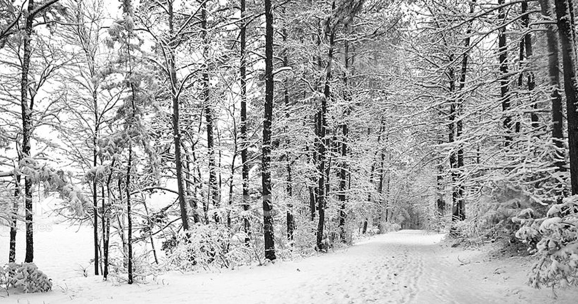 Camminare in inverno!